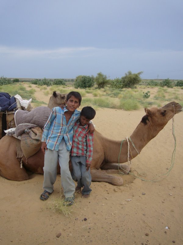 Travel - India - Rajasthan - Desert Camel Trip - Meet The Camels